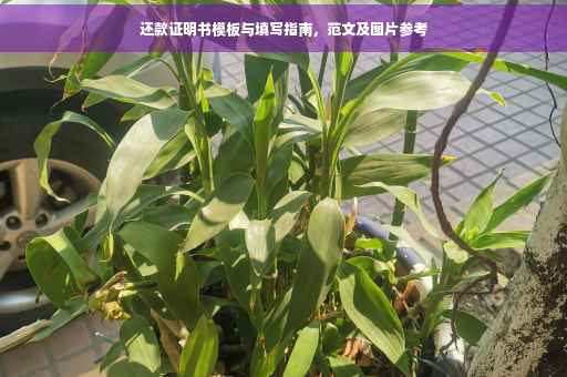 还款证明书模板与填写指南，范文及图片参考