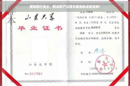揭秘银行流水，解读账户记录与查询地点全攻略！