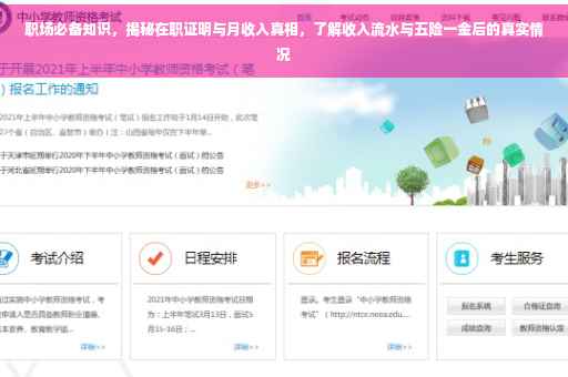 职场必备知识，揭秘在职证明与月收入真相，了解收入流水与五险一金后的真实情况