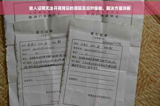 收入证明无法开具背后的原因及应对策略，解决方案详解