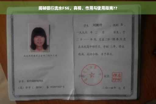 揭秘银行流水FSE，真相、作用与使用指南??