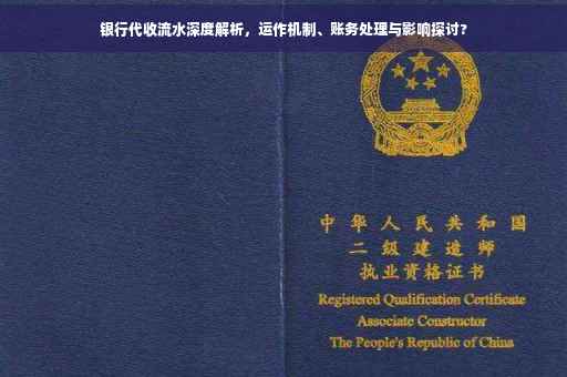 银行代收流水深度解析，运作机制、账务处理与影响探讨?