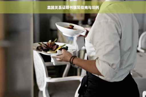 直属关系证明书撰写指南与范例