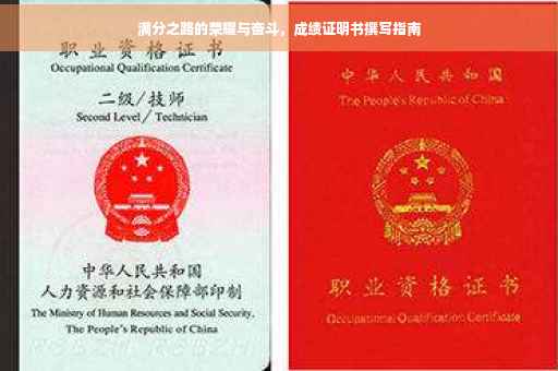 满分之路的荣耀与奋斗，成绩证明书撰写指南