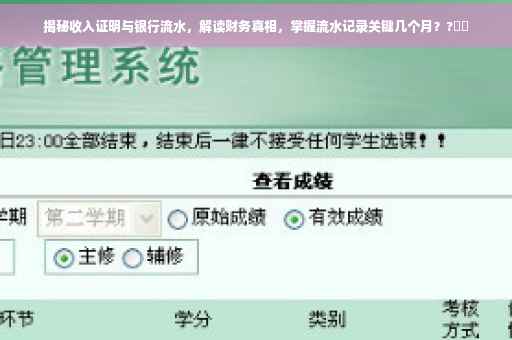 揭秘收入证明与银行流水，解读财务真相，掌握流水记录关键几个月？?⚡️