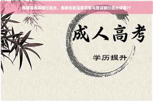 揭秘墨西哥银行流水，金融生态深度洞察与签证银行流水详解??
