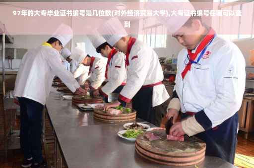 97年的大专毕业证书编号是几位数(对外经济贸易大学),大专证书编号在哪可以查到