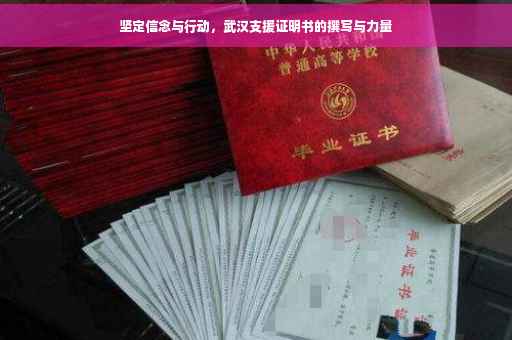 坚定信念与行动，武汉支援证明书的撰写与力量