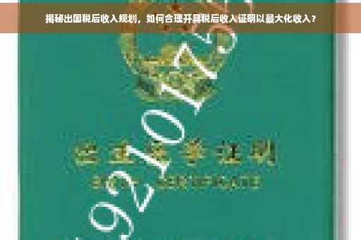 揭秘出国税后收入规划，如何合理开具税后收入证明以最大化收入？