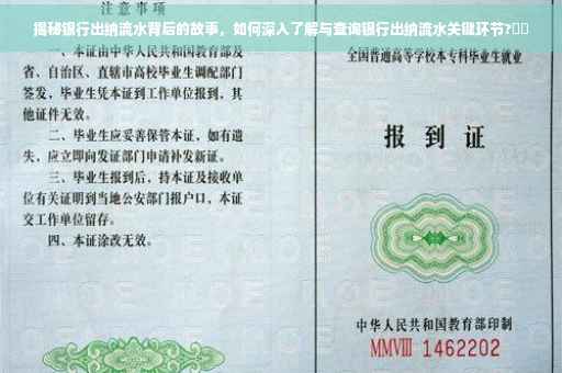 揭秘银行出纳流水背后的故事，如何深入了解与查询银行出纳流水关键环节?⚡️