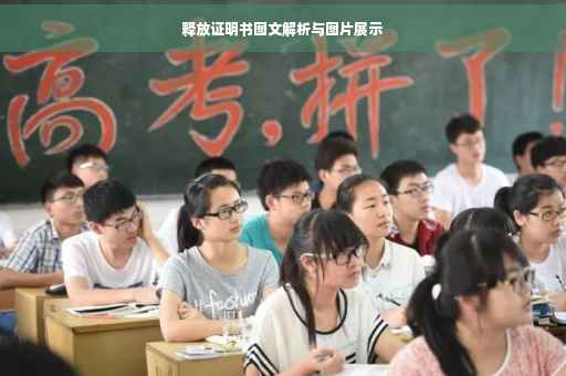 释放证明书图文解析与图片展示