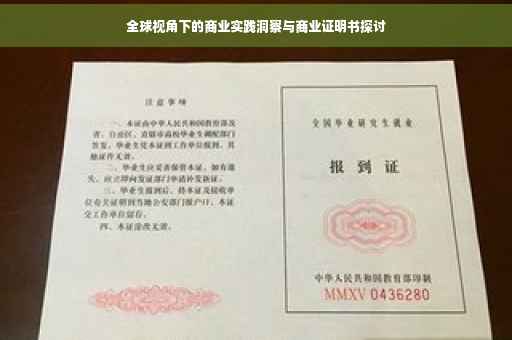 全球视角下的商业实践洞察与商业证明书探讨