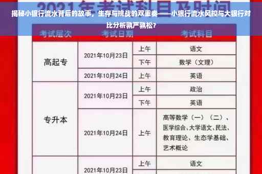 揭秘小银行流水背后的故事，生存与挑战的双重奏——小银行流水风控与大银行对比分析孰严孰松？
