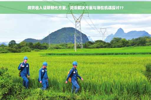 房贷收入证明替代方案，灵活解决方案与潜在机遇探讨??
