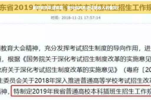 面对房贷申请难题，如何应对无法证明收入的情况？