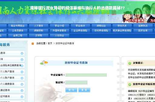 揭秘银行流水背后的经济脉络与执行人的出借款揭秘??