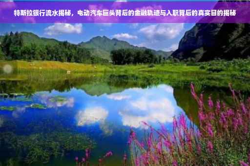 特斯拉银行流水揭秘，电动汽车巨头背后的金融轨迹与入职背后的真实目的揭秘