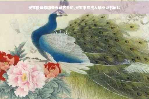 灵宝楼盘都哪些五证齐全的,灵宝中专成人毕业证书图片
