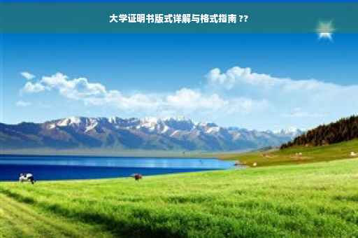 大学证明书版式详解与格式指南 ??