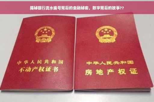 揭秘银行流水编号背后的金融秘密，数字背后的故事??