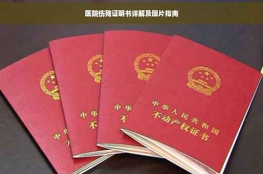 医院伤残证明书详解及图片指南