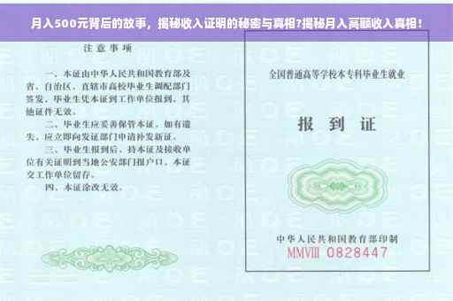 月入500元背后的故事，揭秘收入证明的秘密与真相?揭秘月入高额收入真相！
