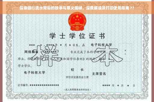 探亲银行流水背后的故事与意义揭秘，深度解读及打印使用指南 ??