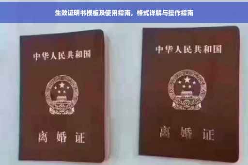 生效证明书模板及使用指南，格式详解与操作指南