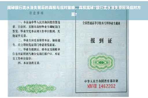 揭秘银行流水消失背后的真相与应对策略，真相揭秘?银行流水消失原因及应对方案?