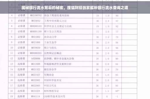 揭秘银行流水背后的秘密，搜狐财经独家解析银行流水查询之道