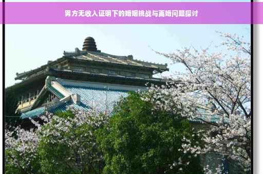 男方无收入证明下的婚姻挑战与离婚问题探讨