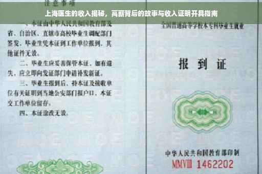 上海医生的收入揭秘，高薪背后的故事与收入证明开具指南