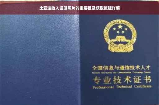 比亚迪收入证明照片的重要性及获取流程详解