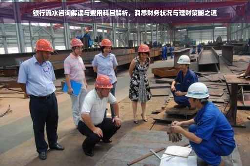 银行流水咨询解读与费用科目解析，洞悉财务状况与理财策略之道