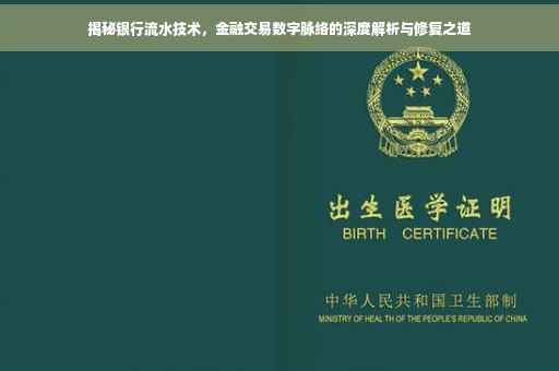 揭秘银行流水技术，金融交易数字脉络的深度解析与修复之道