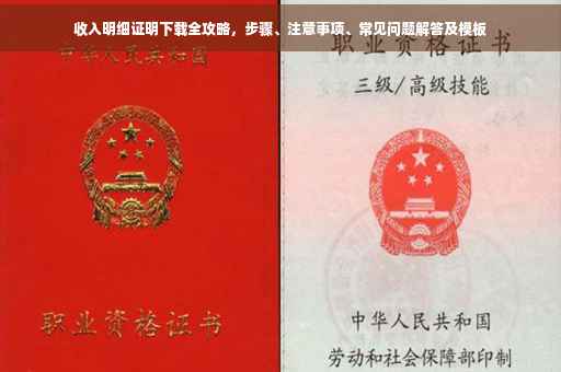 收入明细证明下载全攻略，步骤、注意事项、常见问题解答及模板