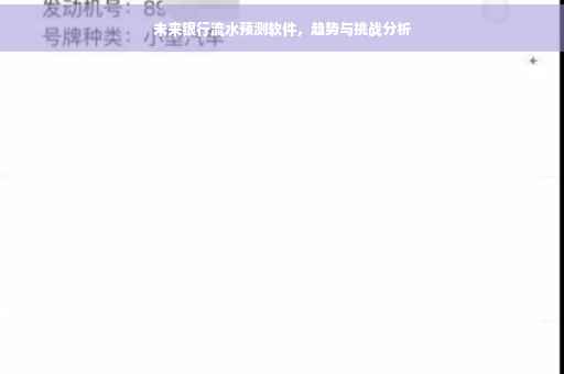未来银行流水预测软件，趋势与挑战分析