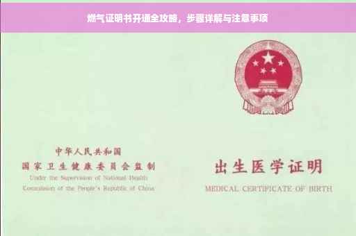 燃气证明书开通全攻略，步骤详解与注意事项