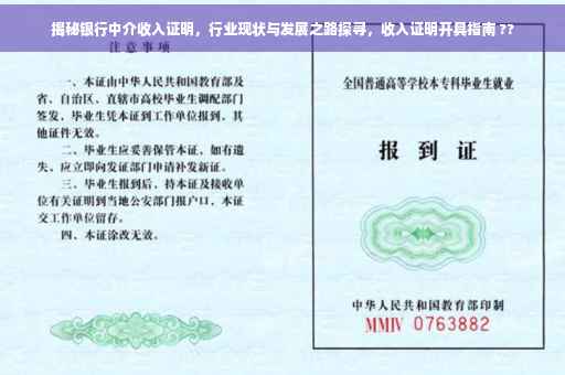 揭秘银行中介收入证明，行业现状与发展之路探寻，收入证明开具指南 ??