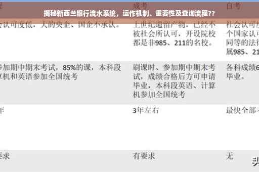 揭秘新西兰银行流水系统，运作机制、重要性及查询流程??