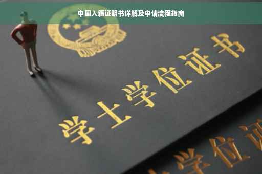 中国入籍证明书详解及申请流程指南