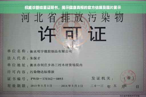 权威诊断结果证明书，揭示健康真相的官方依据及图片展示