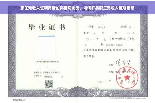职工无收入证明背后的真相与挑战，如何开具职工无收入证明指南