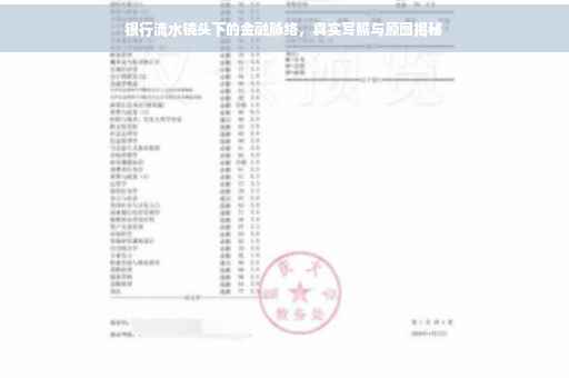 银行流水镜头下的金融脉络，真实写照与原图揭秘