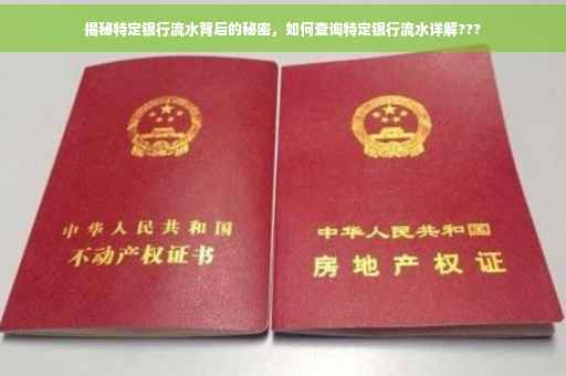 揭秘特定银行流水背后的秘密，如何查询特定银行流水详解???