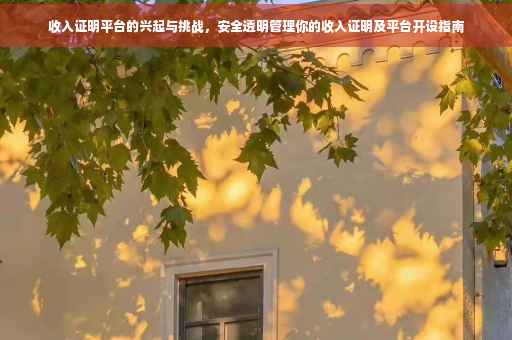 收入证明平台的兴起与挑战，安全透明管理你的收入证明及平台开设指南