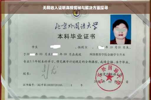 无税收入证明真相揭秘与解决方案探寻
