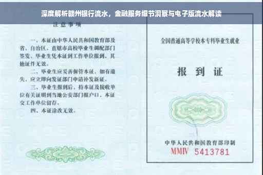 深度解析赣州银行流水，金融服务细节洞察与电子版流水解读