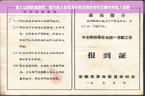 收入证明的重要性，探讨收入在生活中的应用及如何正确书写收入证明