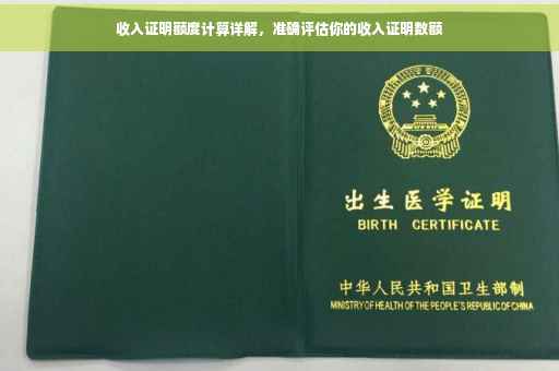 收入证明额度计算详解，准确评估你的收入证明数额